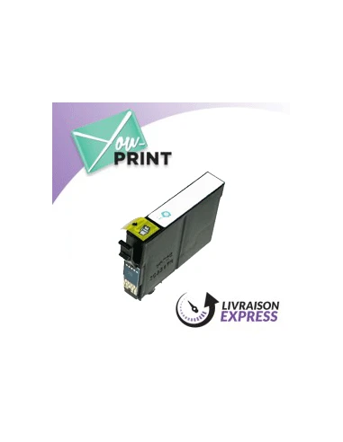 Cartouche jet d'encre   EPSON C 13 T 08704010 / T0870 compatible