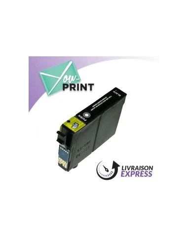 Cartouche noire EPSON C 13 T 10014010 / T1001 compatible | RHINOCEROCE