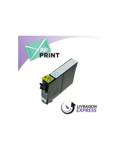 Cartouche gris EPSON C 13 T 03474010 / T0347 compatible | CAMELEON