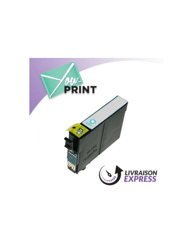 Cartouche gris EPSON C 13 T 05974010 / T0597 compatible | FLEUR