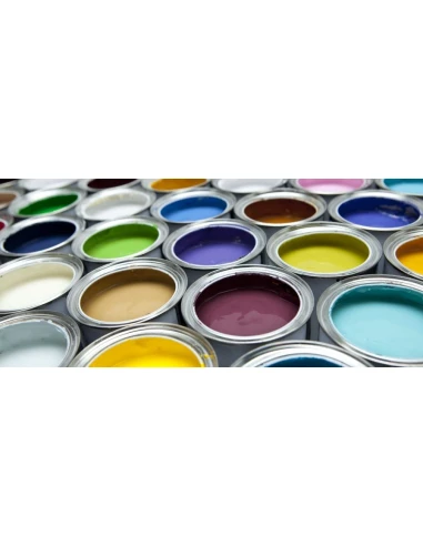 Cartouche couleur EPSON C 13 T 04104010 / T041 compatible | PEINTURE