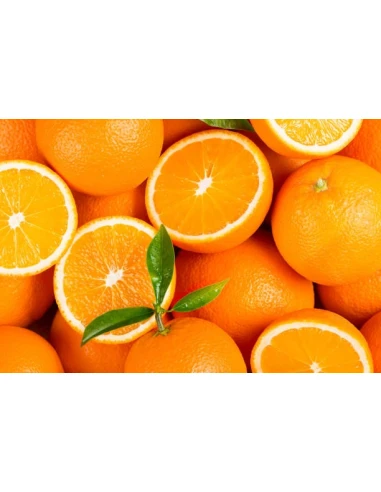 Cartouche jaune EPSON C 13 T 33644010 / 33XL compatible | ORANGES