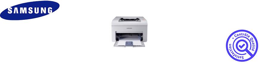 Toners pour imprimantes SAMSUNG ML 2520