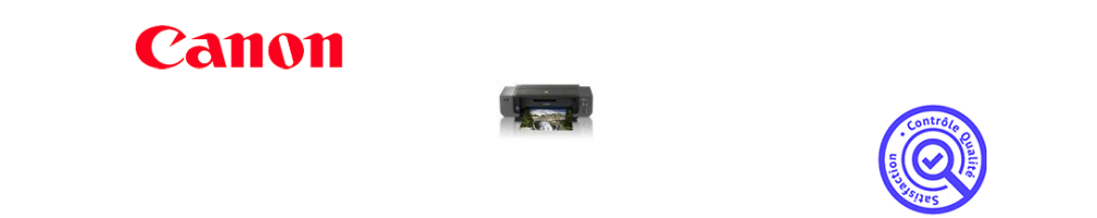 Cartouche jet d'encre pour imprimante CANON Pixma Pro 9500 Series