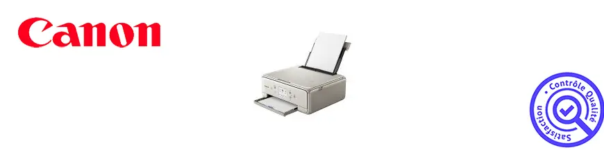 Cartouche jet d'encre pour imprimante CANON Pixma TS 6051