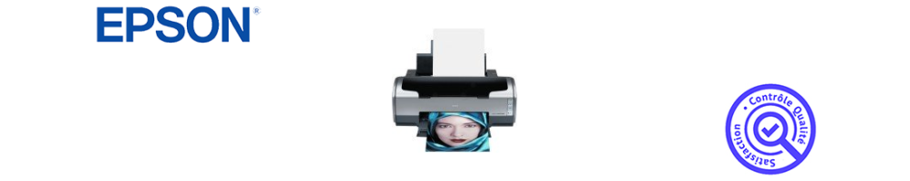 Encre pour imprimante EPSON Stylus Photo R 1800