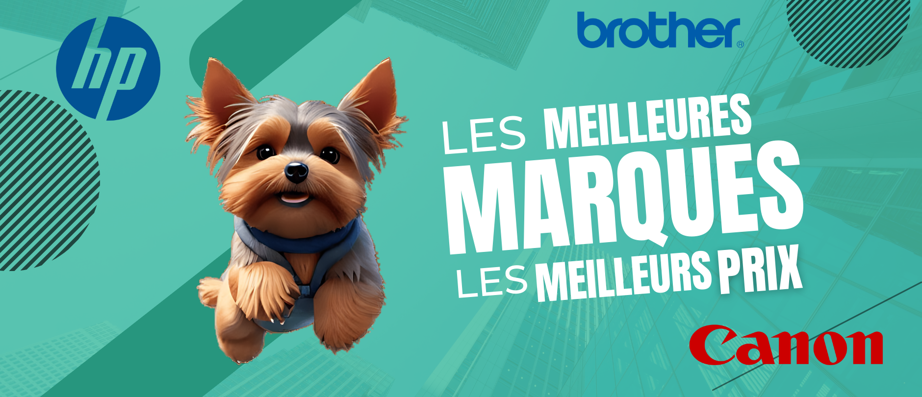 Les meilleurs marques